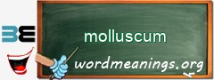 WordMeaning blackboard for molluscum